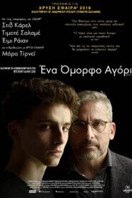Ένα Όμορφο Αγόρι