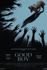 Good Boy