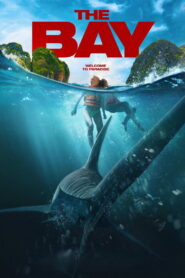 The Bay